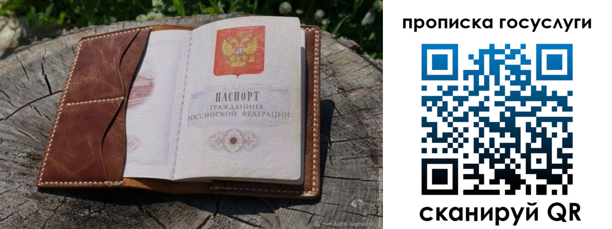 прописка для школы в Мирном
